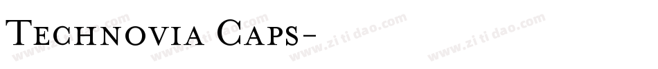 Technovia Caps字体转换